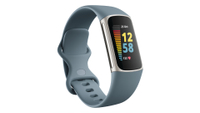 Check out Fitbit fitness trackers on Amazon | Flipkart