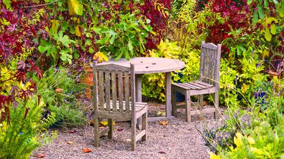 Outside dining area surrounded by seasonal color in the fall