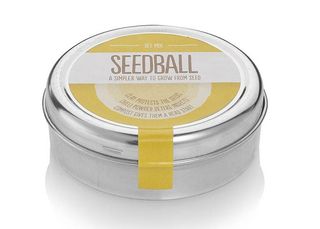 the best wildflower seed mix for late summer: Bee Mix seedball