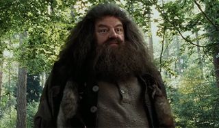 Hagrid teaching a Care of Magical Creatures class