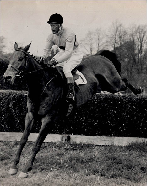 arkle.jpg