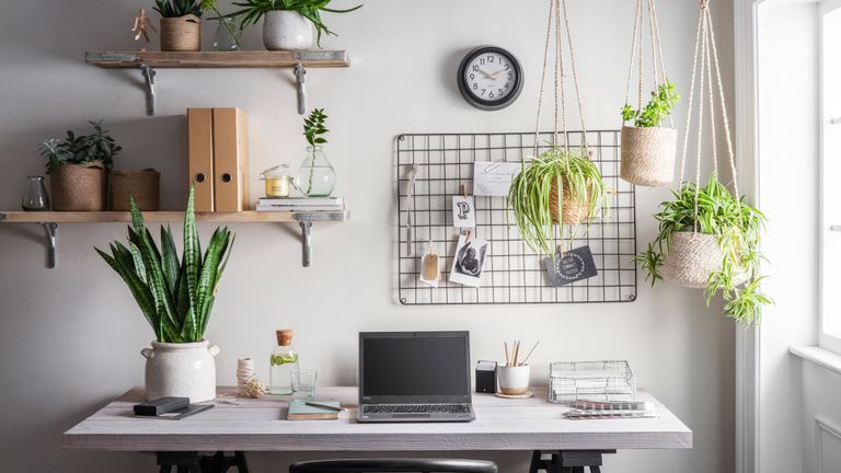 smart home tech: home office with plenty of plant life by garden trading