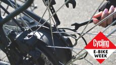 ebike rear hub