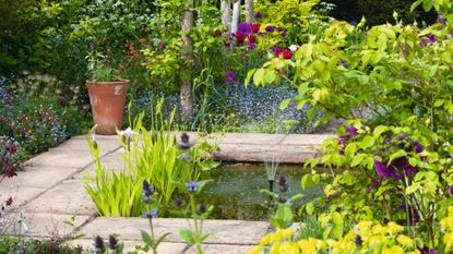 A pond surrounded by wildflowers planted to emulate the meadowscaping trend