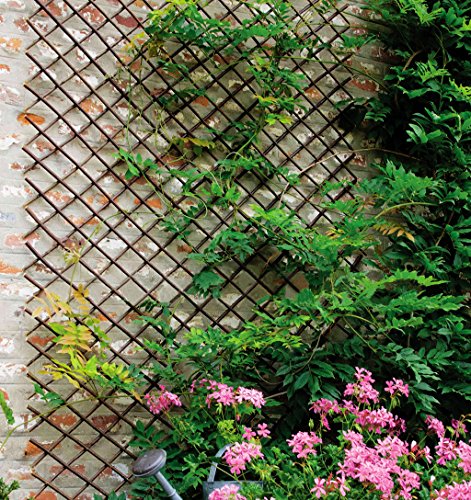 Expandable Garden Trellis Plant Support Willow Lattice Fence Panel for Climbing Plants Vine Ivy Rose Cucumbers Clematis 36x92 Inch