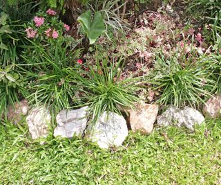 Rock edging separates a flowerbed from lawn grass