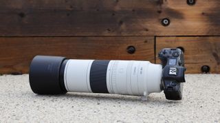 Canon RF 200-800mm f/6.3-9 IS USM lens on a Canon EOS R5 camera on a concrete surface