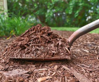 spade with bark mulch