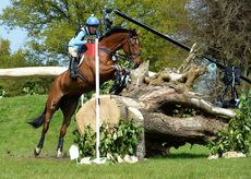 Alice Dunsdon riding Fernhill Present GBR during the Cross Country phase of The Mitsubishi Motors Badminton Horse Trials at Badminton in Gloucestershire, UK on 7th May 2016