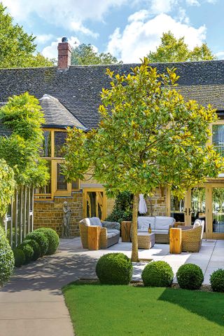 patio gardening ideas: tree in patio bordered with topiary