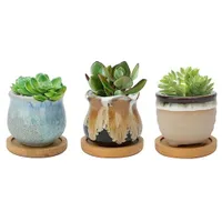 Warmplus 6.5CM Ceramic Succulent Plant Pots | £9.59 at Amazon