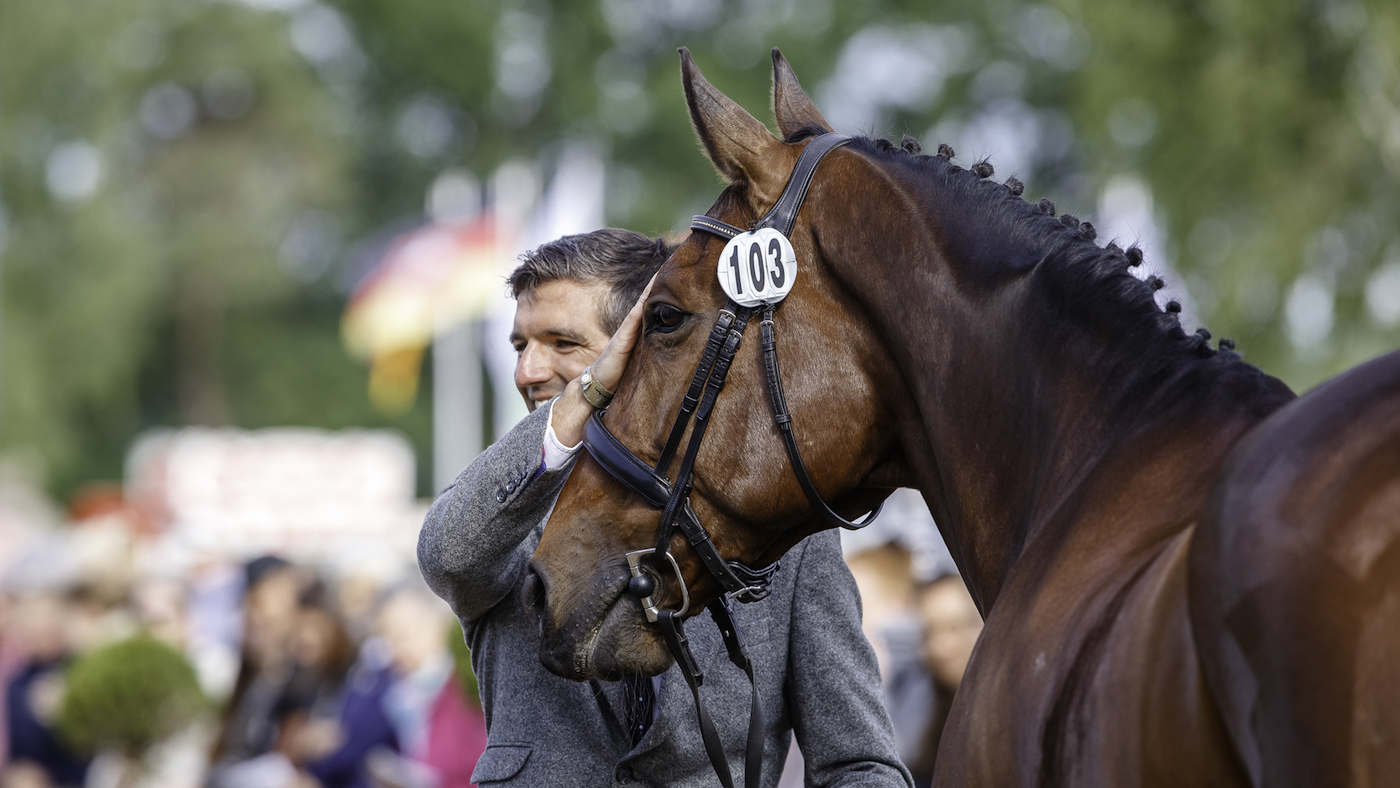 Luhm&amp;uuml;hlen Horse Trials final trot-up: Redwood Clover and Max Gordon