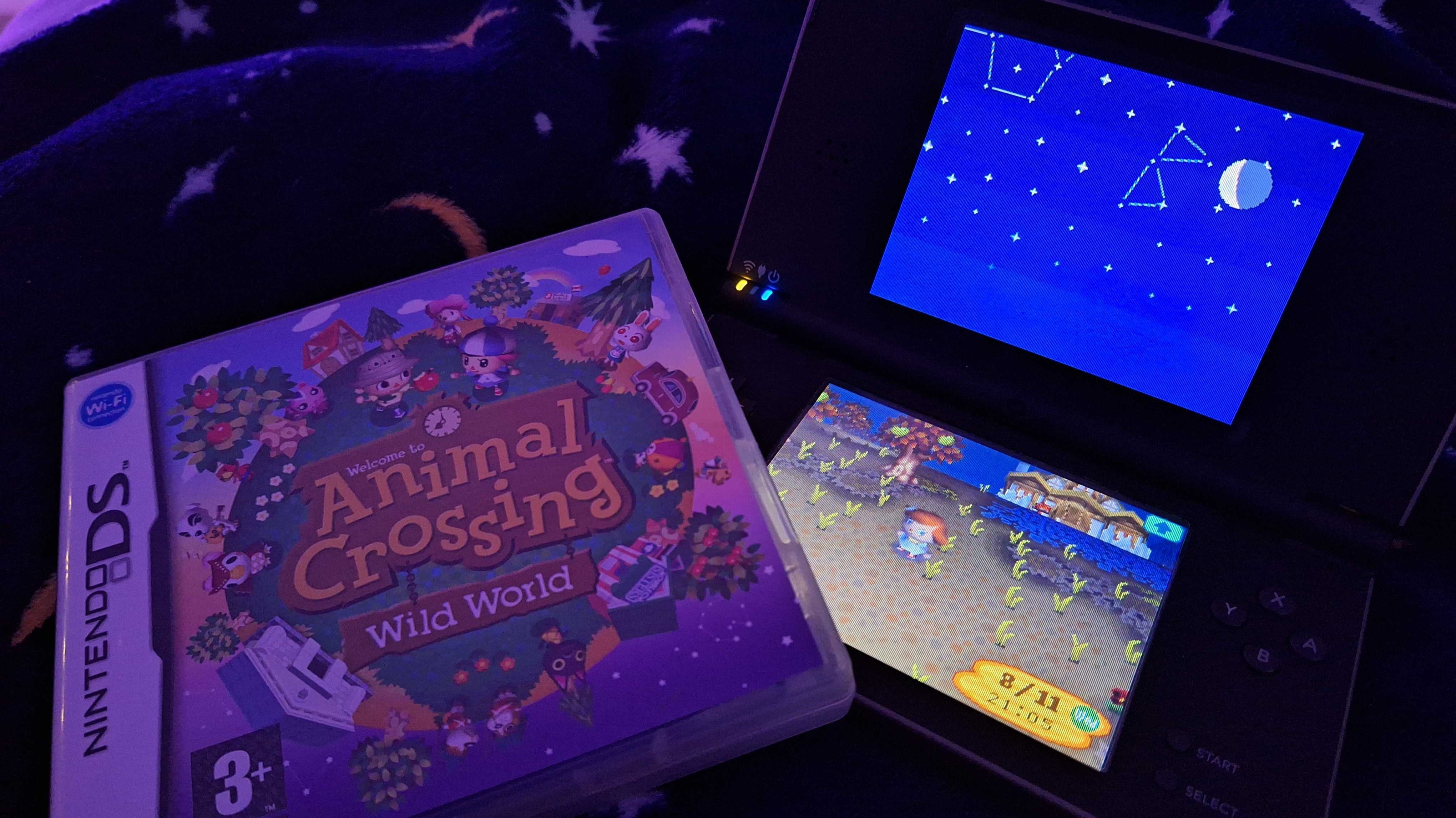 Buying a preowned copy of Animal Crossing: Wild World emotionally destroyed  me