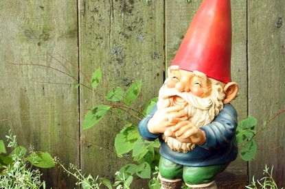 A gnome chuckling.