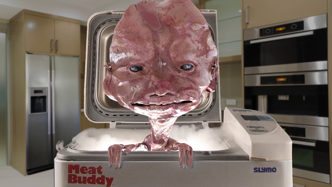 Meat buddy from Revenge of the Savage Planet
