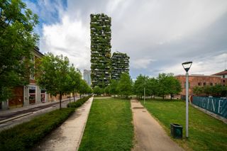 Garden and green towers