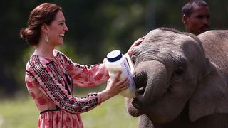 Kate Middleton with a baby elephant