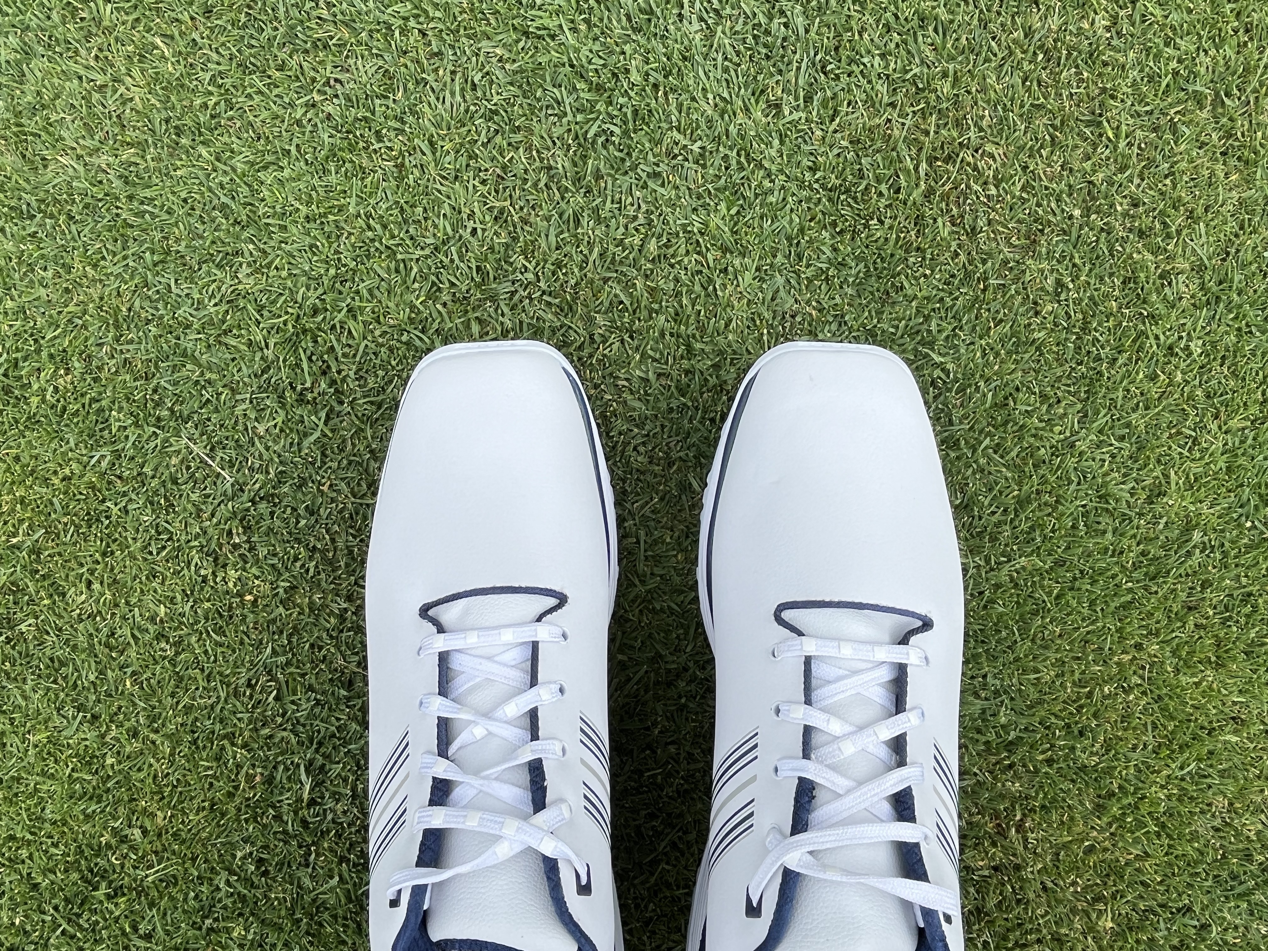 Sqairz ProS2 LT Golf Shoe review