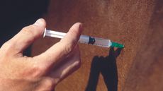 Progress into securing veterinary medicines in Northern Ireland has been welcomed
