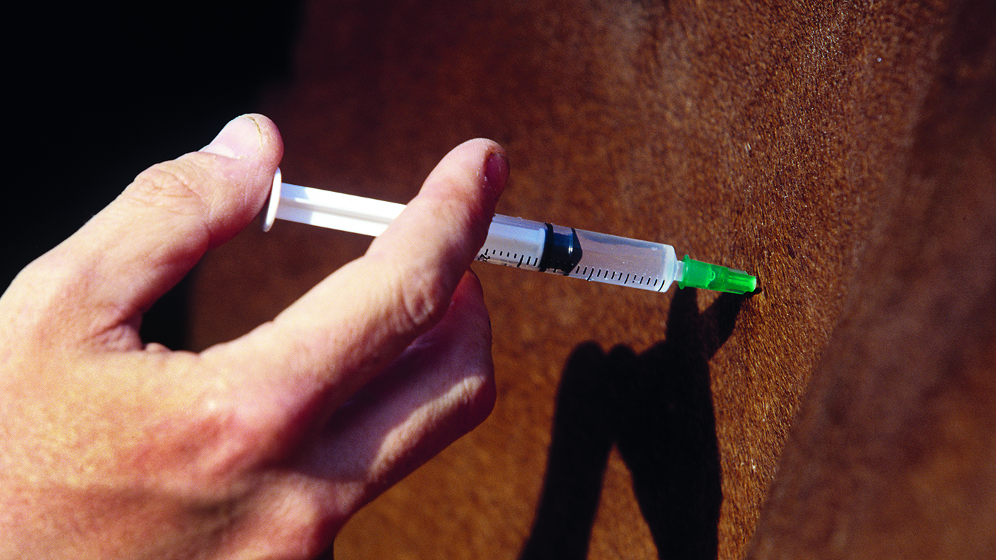 Progress into securing veterinary medicines in Northern Ireland has been welcomed