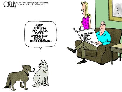 Editorial Cartoon U.S. Coronavirus COVID-19 cats dogs social distancing transmission