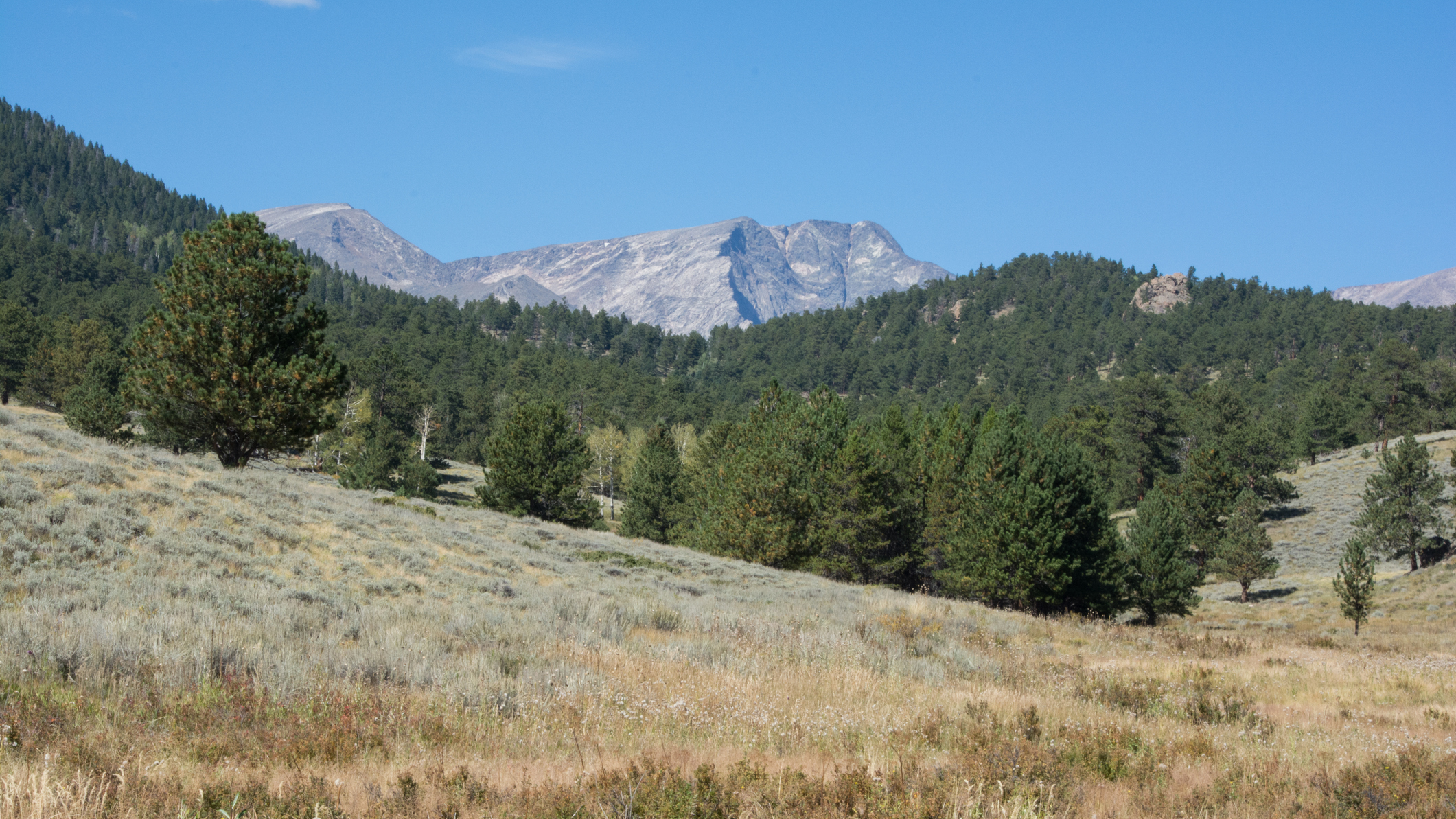 Upper Beaver Meadows in Rocky Mountain National Park