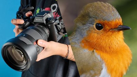 Sony A1 II with close-up picture of bird