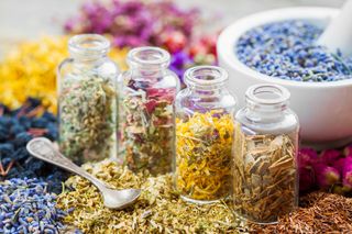 four bottles with varied dried herbs