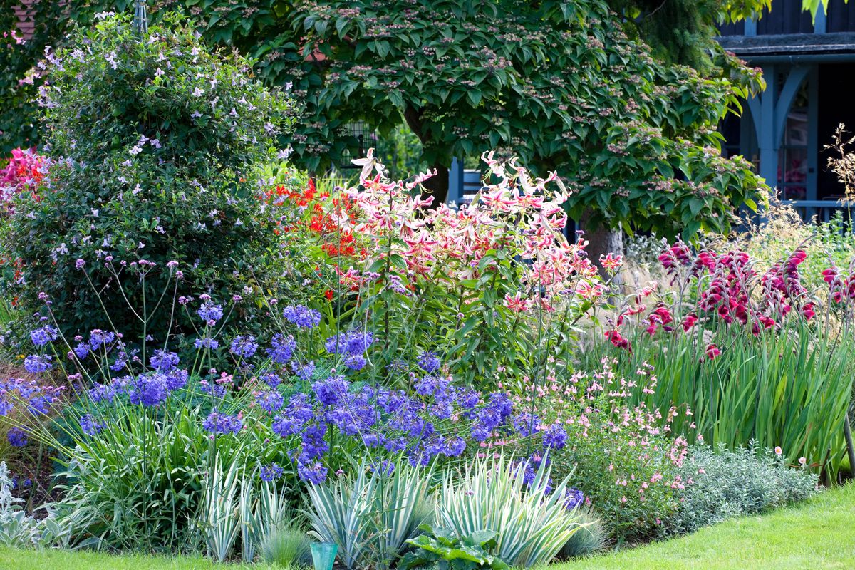 Best cottage garden plants: our top flowers for romantic borders ...