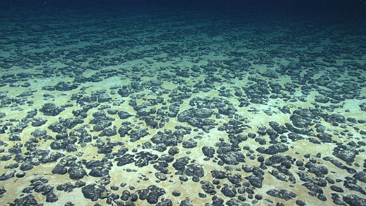 'Dark oxygen' discovery on the seafloor is 'fundamentally at odds with thermodynamics' and should be retracted, experts say