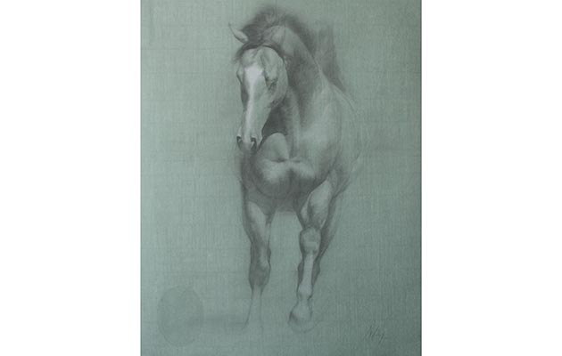 Charcoal and chalk on green paper, 26 x 19 ins, Nichola Eddery