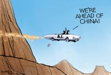 Political Cartoon