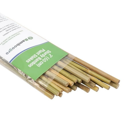 2ft Natural Bamboo Plant Stakes for Tomatoes, Beans, Flowers, Potted, Climbing Plants 25pcs
