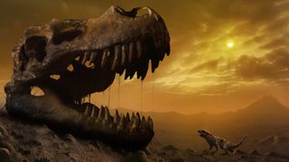 An illustration of a dinosaur skull in an apocalyptic landscape