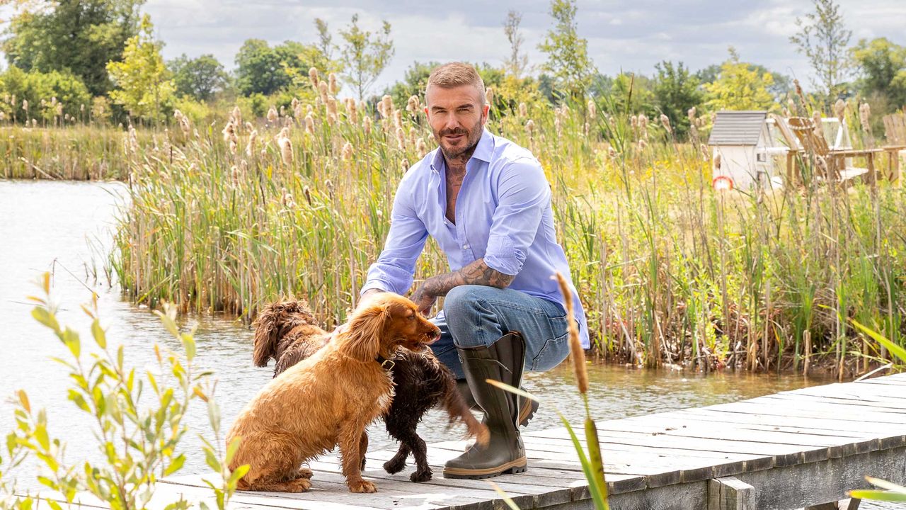 David Beckham with his dogs at home in the Cotswolds