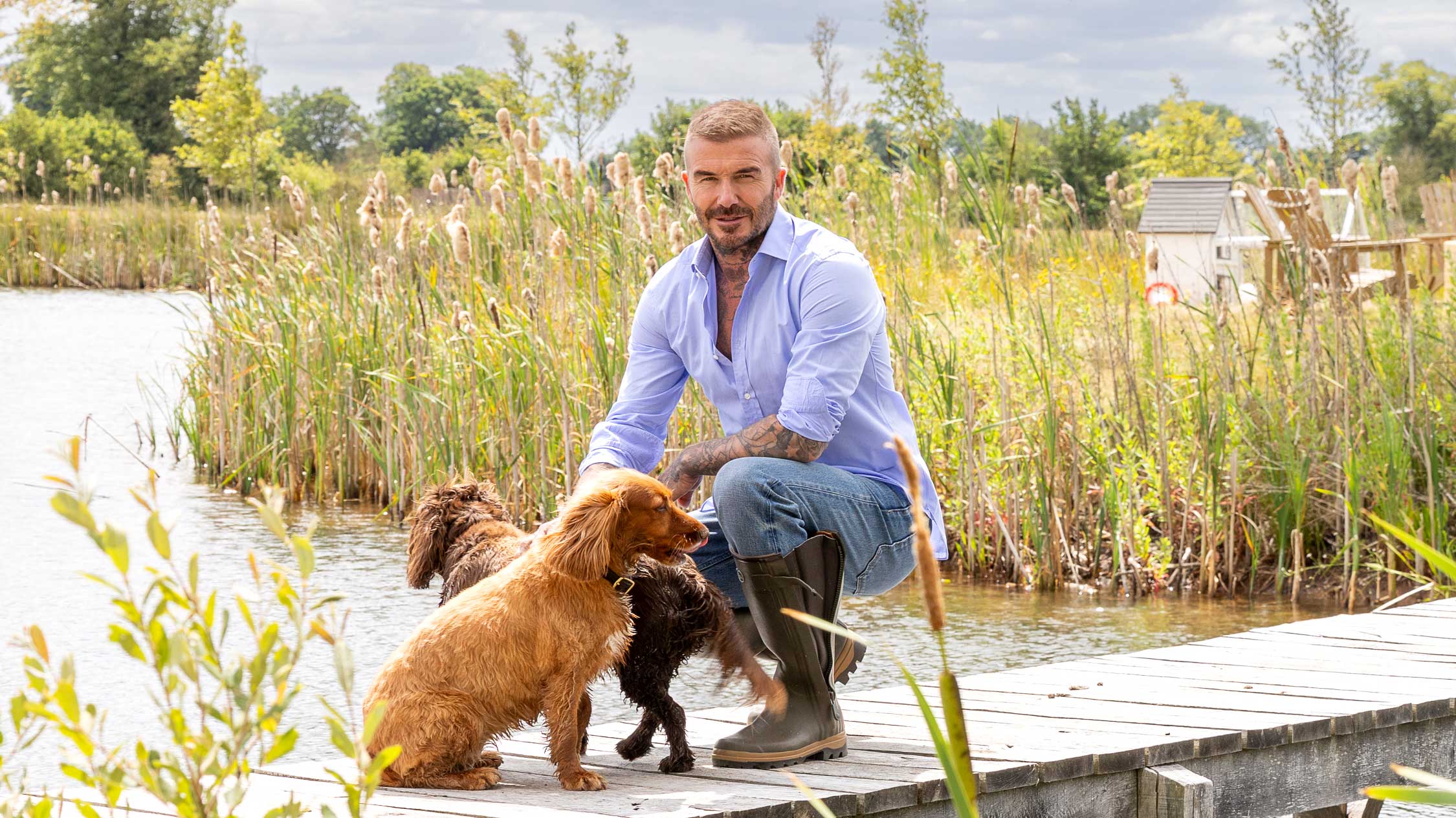 David Beckham with his dogs at home in the Cotswolds