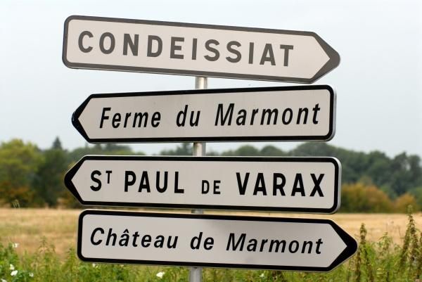 Which road do we take now, boss?