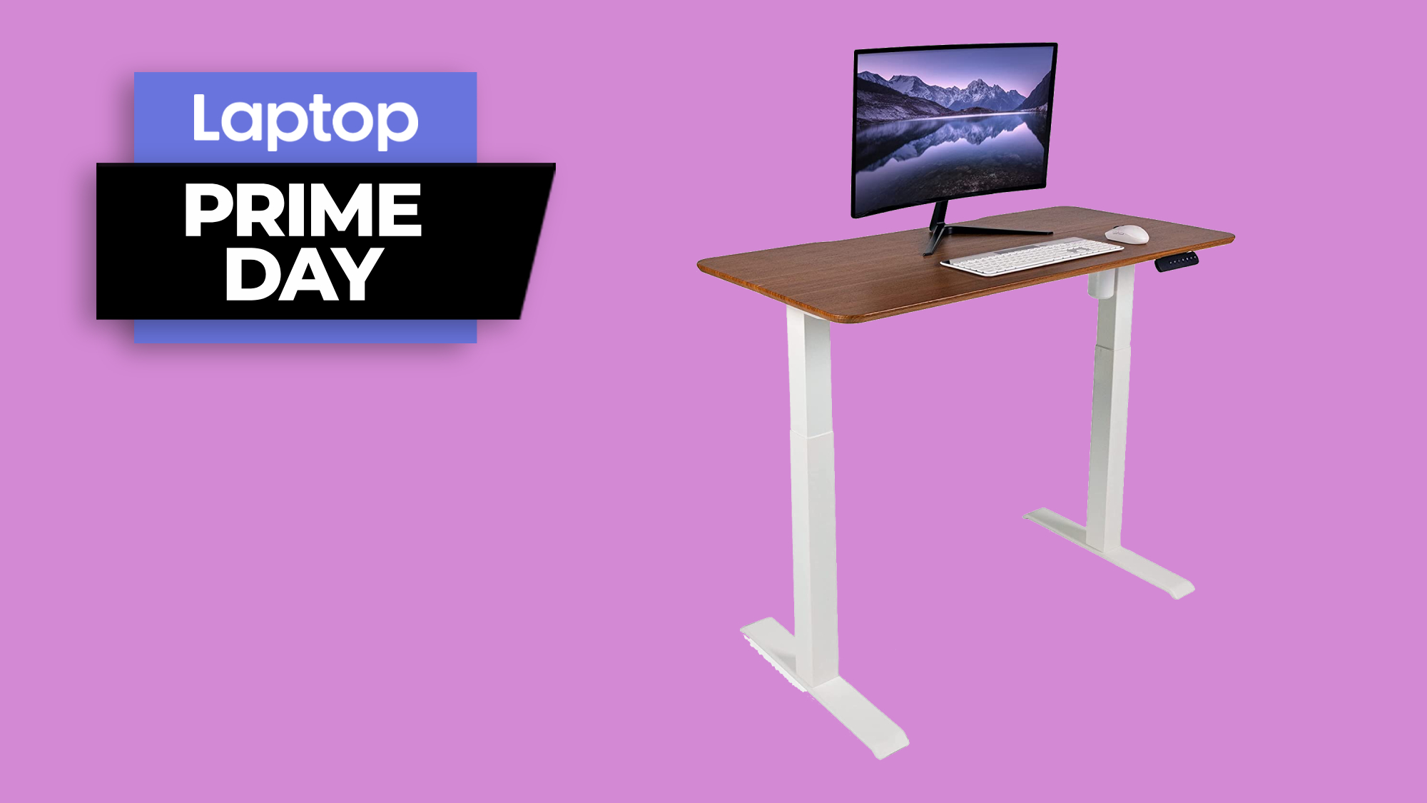 I Picked The Best Standing Desk at EVERY Price 