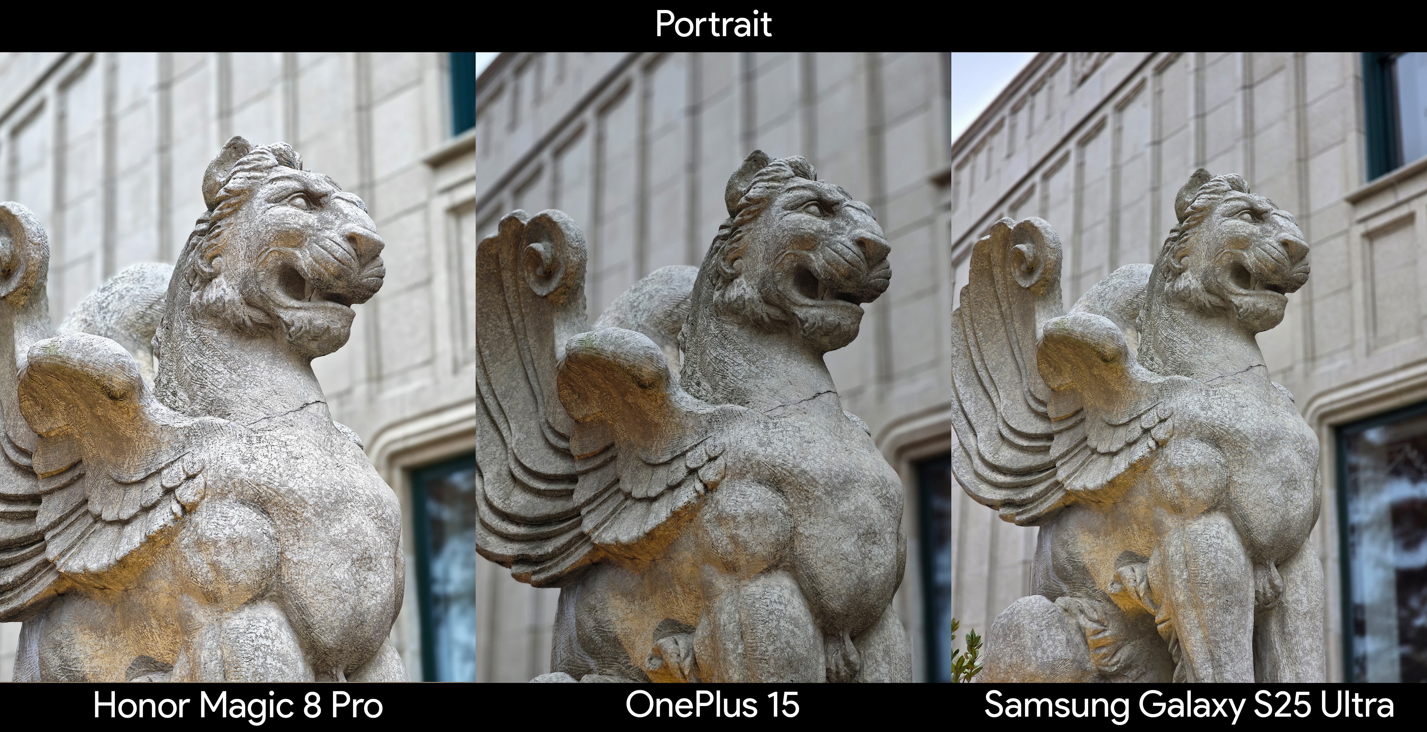Camera samples from the OnePlus 15 showing portrait mode quality