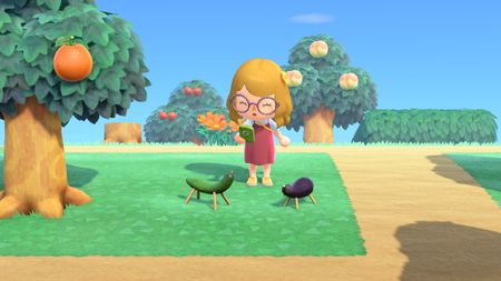 Animal Crossing: New Horizons Obon items