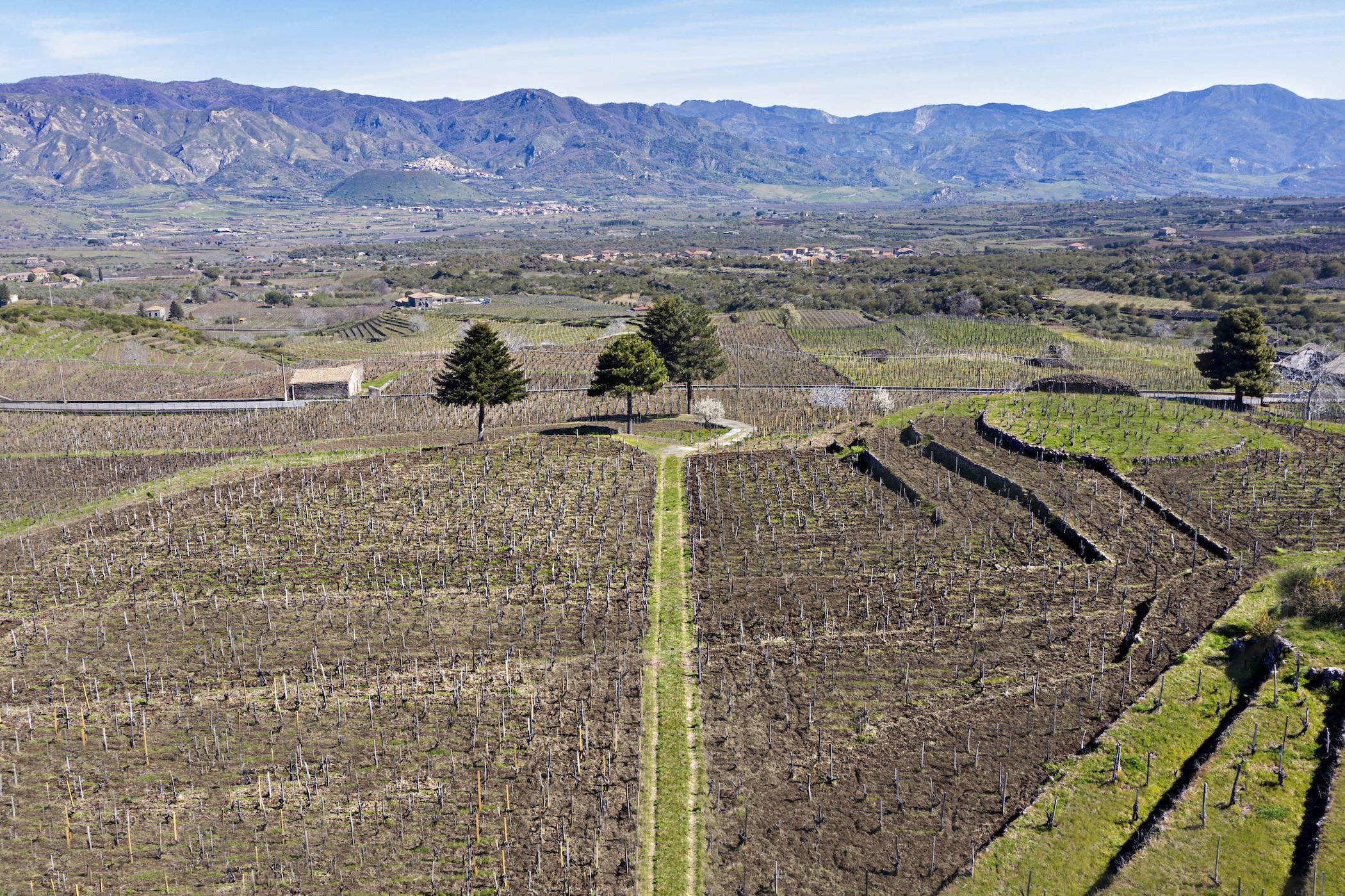 Vineyard terraces at Passopisciaro on the north slope of Etna
