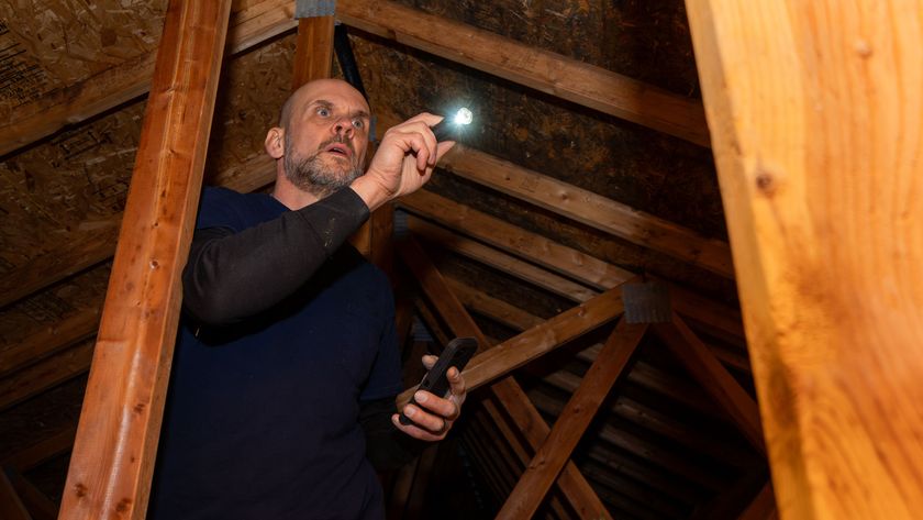 Man with torch looking in loft