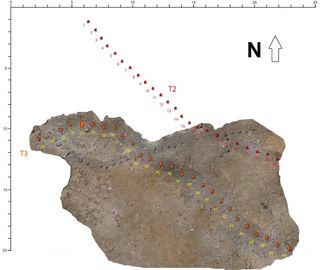 An illustration of the dinosaur tracks walking in a southeastern direction. The big dino left the T3 tracks and the small one walked along the T2 tracks.