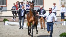 European Dressage Championships grand prix times: Gareth Hughes and Sintano Van Hof Olympia wil compete on Tuesday