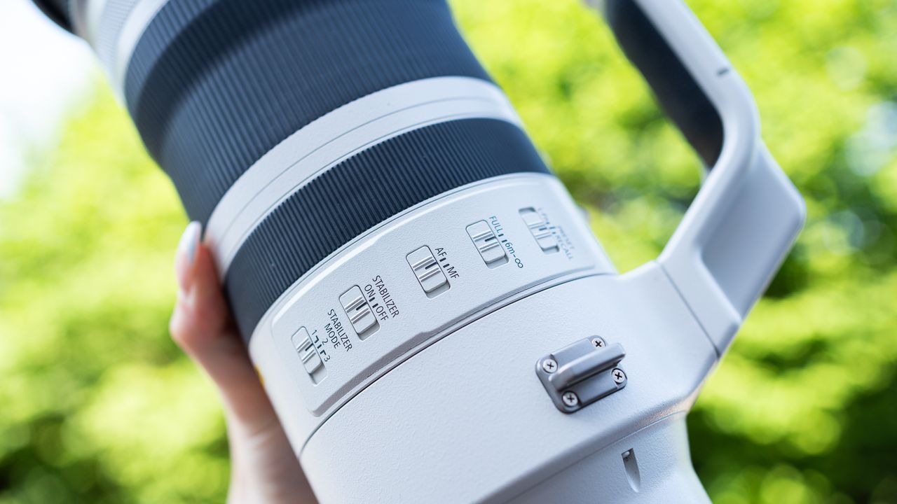 Canon RF 100-300mm f/2.8L IS USM lens against green foliage