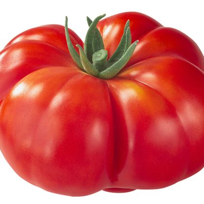 Reisetomate heirloom ribbed tomato close up