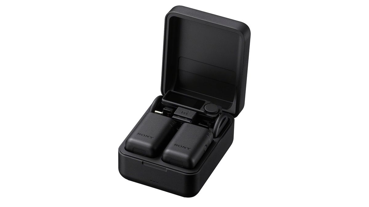 Sony ECM-W5