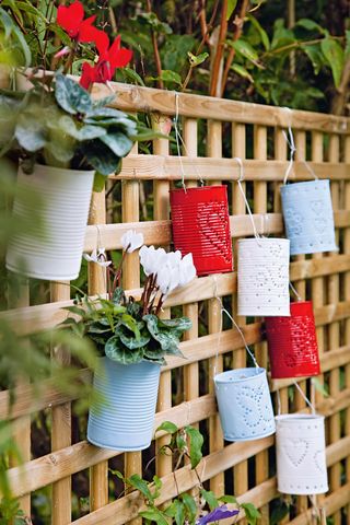 trellis with tin can planters painted in bright colours