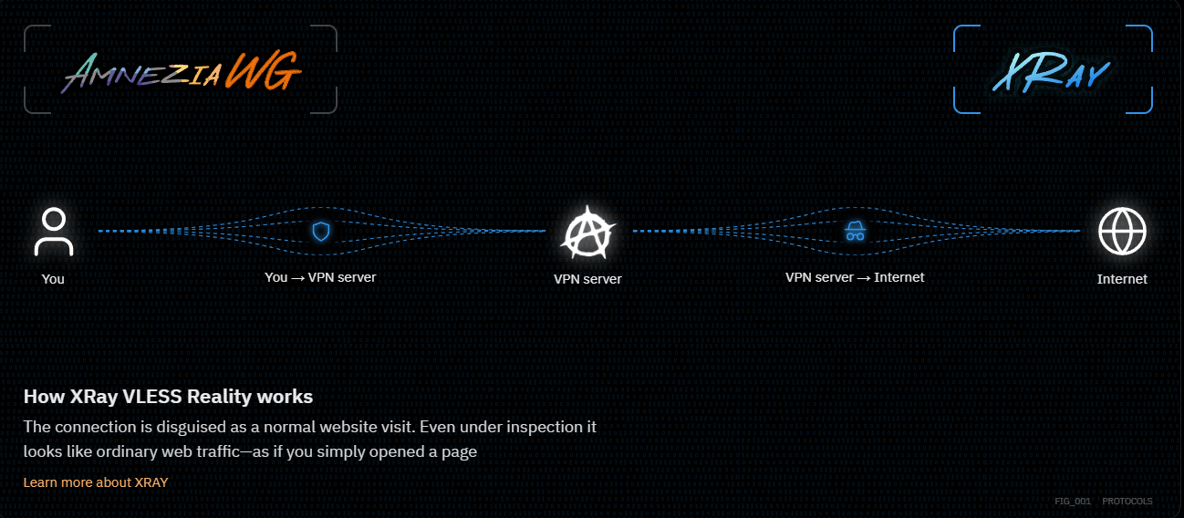 Graph on how Amnezia VPN's XRay VLESS protocol works