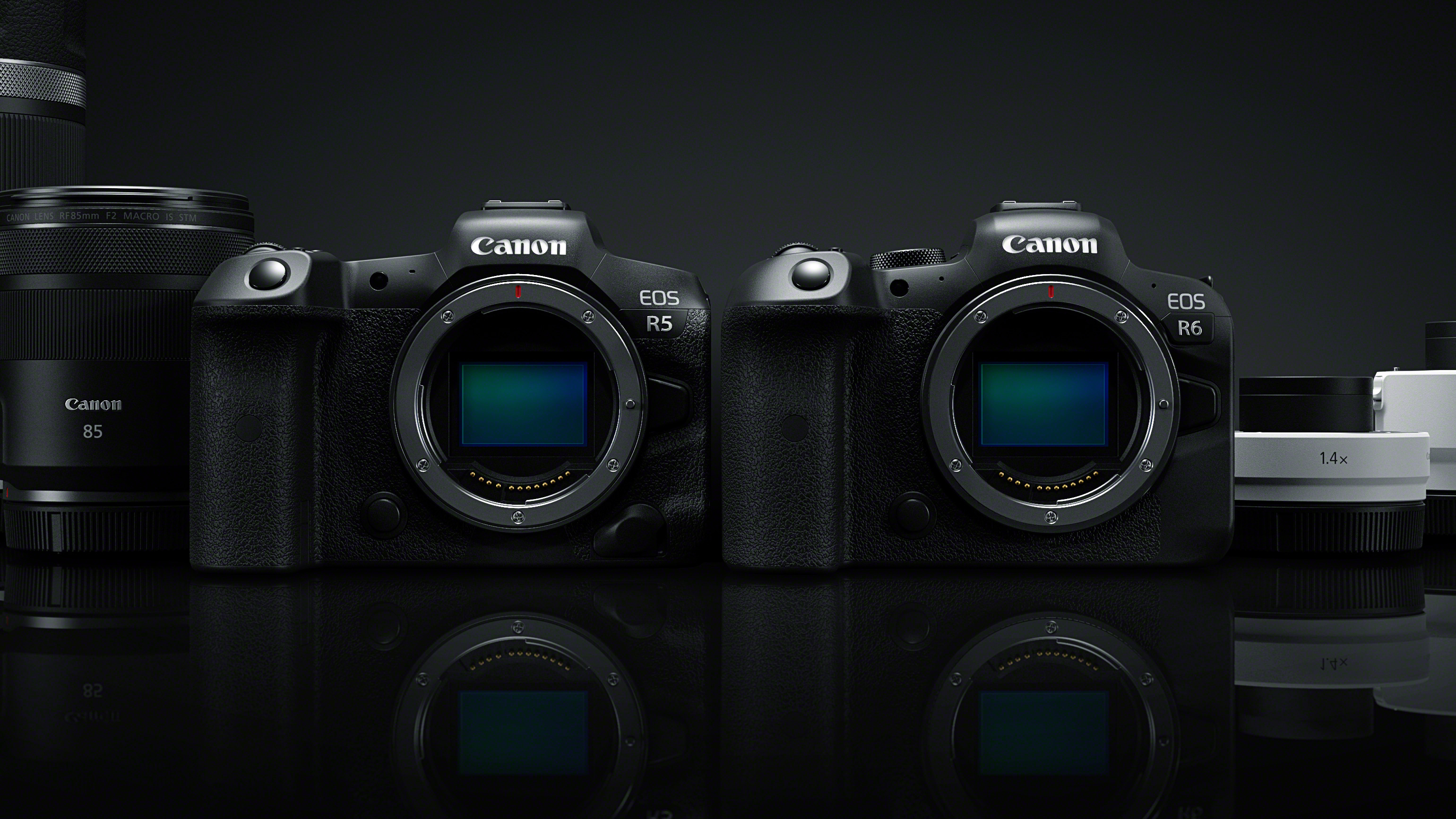 Canon EOS R5 vs R6